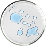 Acides Aminés - NMF Soins de la Peau