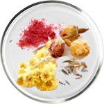 Soins de la peau aux céramides