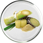 Soins de la peau à l’Acide Glycolique