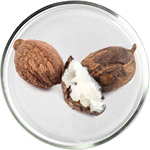 Soins de la peau au beurre de karité