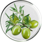 Soin de la peau au Squalane