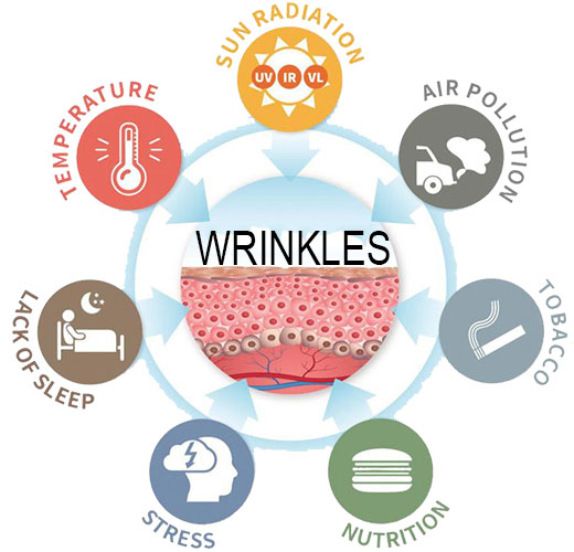 Facteurs externes rides